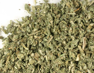 Herbal Remedy for Wellness: White Horehound Cut and Sifted Herbal Tea, Marrubium Vulgare